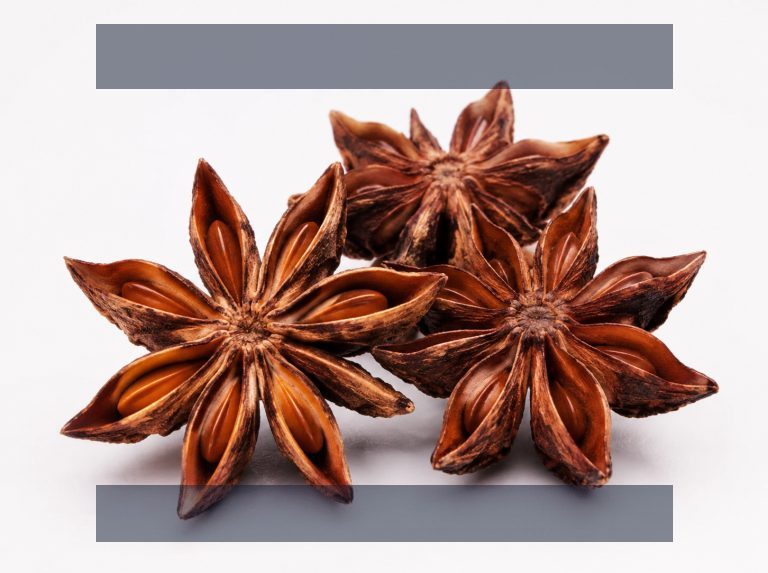 走进我们